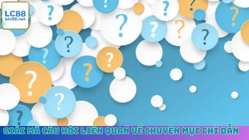 Giải mã câu hỏi liên quan về chuyên mục chỉ dẫn