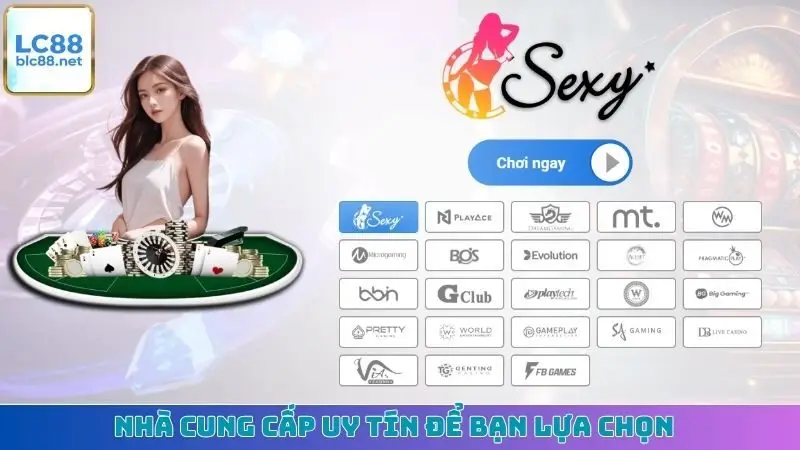 Nhà cung cấp uy tín để bạn lựa chọn