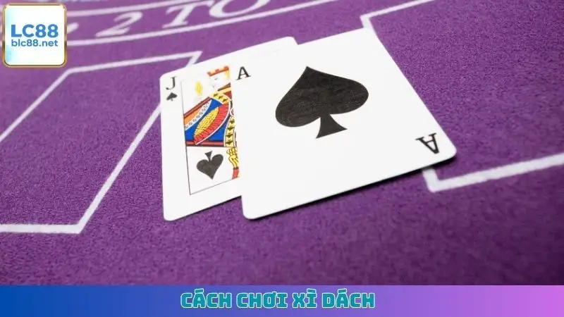 Cách Chơi Xì Dách
