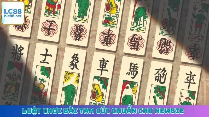 Luật chơi bài Tam Cúc chuẩn cho newbie