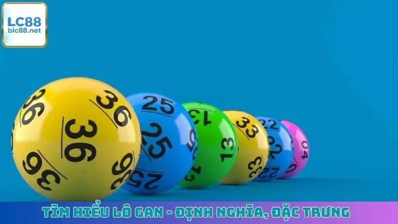 Tìm hiểu lô gan - Định nghĩa, đặc trưng